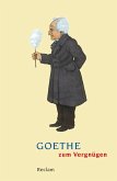 Goethe zum Vergnügen (eBook, ePUB)