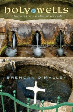 Holy Wells - O'Malley, Brendan