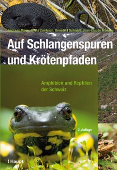 Auf Schlangenspuren und Krötenpfaden - Meyer, Andreas;Zumbach, Silvia;Schmidt, Benedikt R.