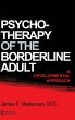Psychotherapy Of The Borderline Adult - Bild 1