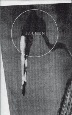 Fallen - Andreas, Gian-Philip;Palmer, Gesine