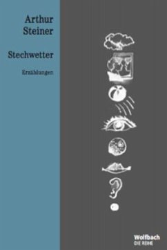 Stechwetter Cover Stechwetter