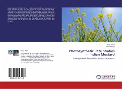 Photosynthetic Rate Studies in Indian Mustard