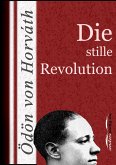 Die stille Revolution (eBook, ePUB)