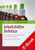 Arbeitshilfen Defektur (eBook, PDF)