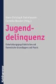 Jugenddelinquenz (eBook, PDF)