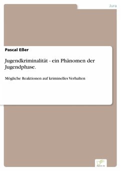 Jugendkriminalität - ein Phänomen der Jugendphase. (eBook, PDF) - Eßer, Pascal