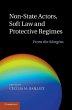 Non-State Actors, Soft Law and... - Bild 1