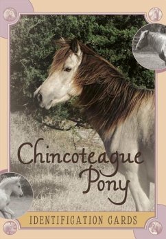 Cover Chincoteague Pony Identification Cards, Set 2