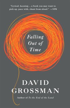 Falling Out of Time - Grossman, David