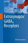 Extrasynaptic GABAA Receptors