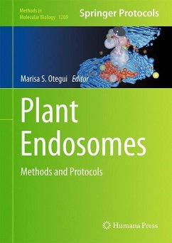 Plant Endosomes