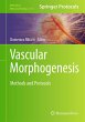Vascular Morphogenesis - Bild 1