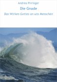 Die Gnade (eBook, ePUB)