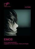 Emos: Eine Jugendsubkultur ¿ begleitet von Vorurteilen, Hass und Angst!