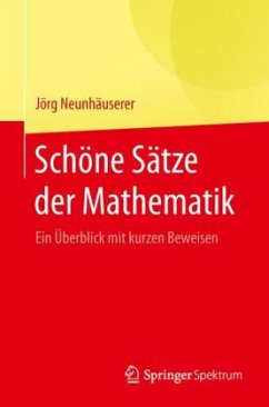 Schöne Sätze der Mathematik - Neunhäuserer, Jörg