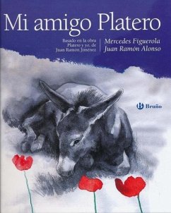 Mi Amigo Platero - Figuerola, Mercedes