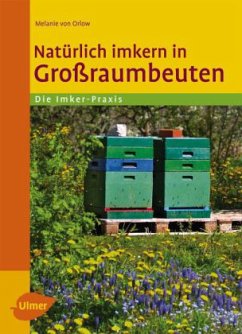 Natürlich imkern in Großraumbeuten - Orlow, Melanie von