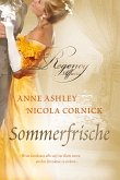 Sommerfrische (eBook, ePUB)