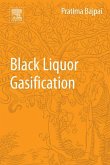 Black Liquor Gasification (eBook, ePUB)