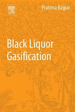 Cover Black Liquor Gasification (eBook, ePUB)