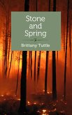 Stone and Spring (eBook, ePUB)