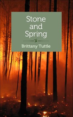 Cover Stone and Spring (eBook, ePUB)