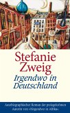 Irgendwo in Deutschland (eBook, ePUB)