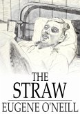 Straw (eBook, ePUB)