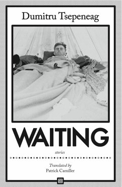 Waiting: stories (eBook, ePUB) - Tsepeneag, Dumitru