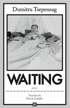 Cover Waiting: stories (eBook, ePUB)