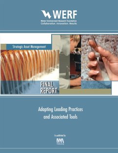 Cover Adapting Leading Practices and Associated Tools (eBook, PDF)