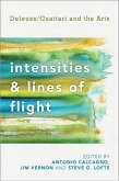 Intensities and Lines of Flight (eBook, ePUB)