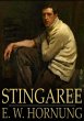 Stingaree (eBook, ePUB) - Bild 1