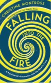 Falling into the Fire (eBook, ePUB)