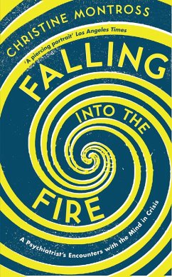 Cover Falling into the Fire (eBook, ePUB)