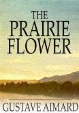 Prairie Flower (eBook, ePUB)