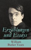 Erzählungen und Essays (eBook, ePUB)