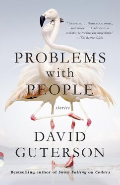 Problems with People (eBook, ePUB) - Guterson, David