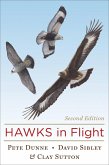 Hawks in Flight (eBook, ePUB)