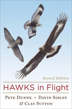 Hawks in Flight (eBook, ePUB) - Dunne, Pete