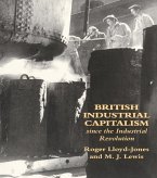 British Industrial Capitalism Since The Industrial Revolution (eBook, PDF)