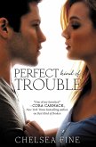 Perfect Kind of Trouble (eBook, ePUB)