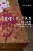 Egypt in Flux (eBook, PDF)