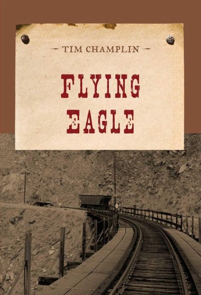 Flying Eagle (eBook, ePUB)