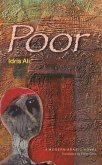 Poor (eBook, PDF)