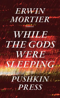 While the Gods Were Sleeping (eBook, ePUB) - Mortier, Erwin