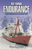 Beyond Endurance (eBook, PDF)