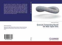 Granule Computing Based On Near Open Sets
