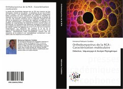 Orthobunyavirus de la RCA : Caractérisation moléculaire - Nakoune Yandoko, Emmanuel